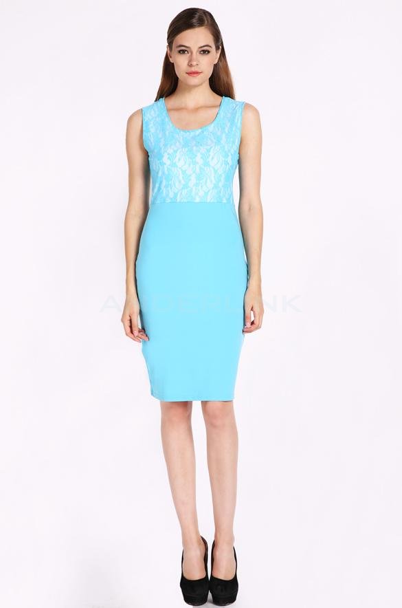 unknown Sexy Women's Sleeveless Floral Lace Cocktail Party Evening Bodycon Pencil Dress