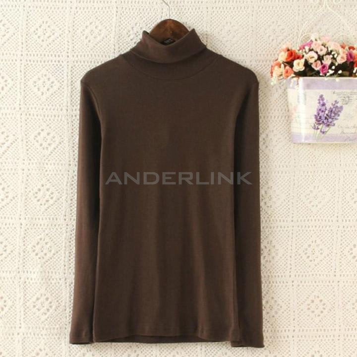 unknown Women Pullovers Turtleneck Long-sleeve Basic Shirt Solid Bottoming Shirt Tops